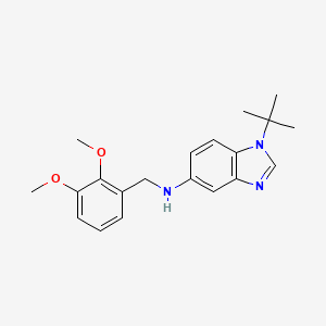 1-tert-butyl-N-(2,3-dimethoxybenzyl)-1H-benzimidazol-5-amine