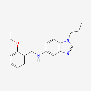 N-(2-ethoxybenzyl)-1-propyl-1H-benzimidazol-5-amine