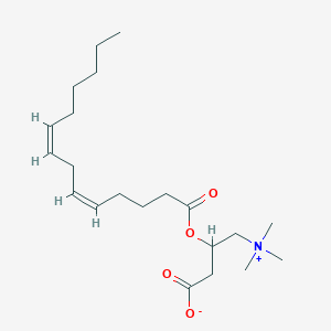 molecular formula C₂₁H₃₇NO₄ B1145048 (5Z,8Z)-tetradecadienoylcarnitine CAS No. 1469901-01-6