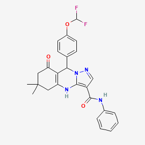 molecular formula C26H24F2N4O3 B11451745 9-[4-(difluoromethoxy)phenyl]-6,6-dimethyl-8-oxo-N-phenyl-4,5,6,7,8,9-hexahydropyrazolo[5,1-b]quinazoline-3-carboxamide 