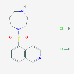molecular formula C14H19Cl2N3O2S B114542 5-((1,4-二氮杂环-1-基)磺酰基)异喹啉二盐酸盐 CAS No. 203911-27-7