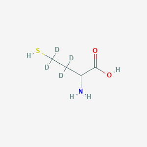 molecular formula C₄H₅D₄NO₂S B1145503 DL-高半胱氨酸-3,3,4,4-D4 CAS No. 416845-90-4