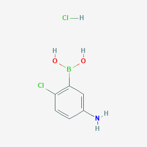 molecular formula C₆H₇BClNO₂ B1145770 (5-Amino-2-chlorophenyl)boronic acid hydrochloride CAS No. 958646-69-0
