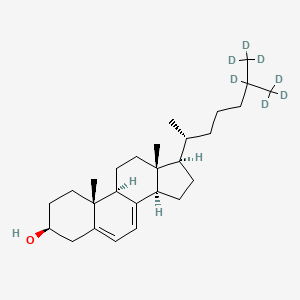 molecular formula C₂₇H₃₇D₇O B1146830 Cholesta-5,7-dien-3beta-ol-d7 CAS No. 388622-58-0