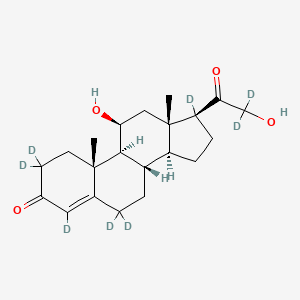 B1146992 Corticosterone-d8 (Major) CAS No. 1271728-07-4
