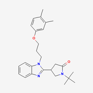 1-tert-butyl-4-{1-[3-(3,4-dimethylphenoxy)propyl]-1H-benzimidazol-2-yl}pyrrolidin-2-one