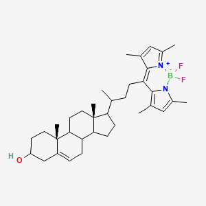molecular formula C36H51BF2N2O B1147847 BODIPY-cholesterol CAS No. 878557-19-8
