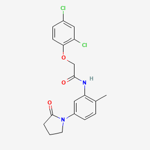 molecular formula C19H18Cl2N2O3 B11480093 2-(2,4-dichlorophenoxy)-N-[2-methyl-5-(2-oxopyrrolidin-1-yl)phenyl]acetamide 