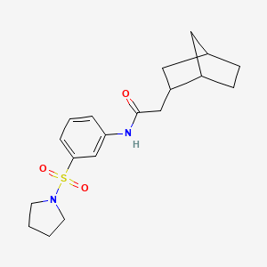 2-(bicyclo[2.2.1]hept-2-yl)-N-[3-(pyrrolidin-1-ylsulfonyl)phenyl]acetamide