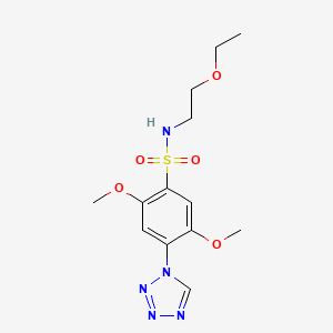 N-(2-ethoxyethyl)-2,5-dimethoxy-4-(1H-tetrazol-1-yl)benzenesulfonamide