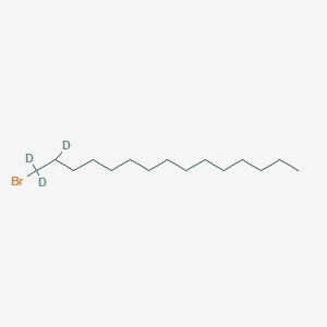 molecular formula C15H28BrD3 B1148538 1-Bromo-1,1,2-trideuteriopentadecane CAS No. 1219805-83-0
