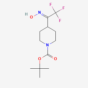 Tert-butyl 4-(2,2,2-trifluoro-1-(hydroxyimino)ethyl)piperidine-1-carboxylate