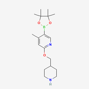 molecular formula C18H29BN2O3 B1148815 4-Methyl-2-(piperidin-4-ylmethoxy)-5-(4,4,5,5-tetramethyl-[1,3,2]dioxaborolan-2-yl)pyridine CAS No. 1350559-11-3