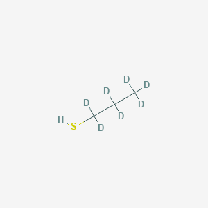 molecular formula C3HD7S B1148944 1-丙烷-d7-硫醇 CAS No. 1219803-52-7