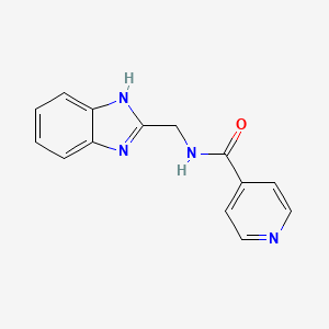 N-(1H-benzimidazol-2-ylmethyl)pyridine-4-carboxamide