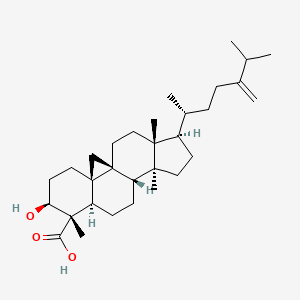 molecular formula C31H50O3 B1149430 1-Dehydroxy-23-deoxojessic acid CAS No. 149252-87-9