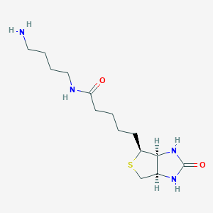 molecular formula C14H26N4O2S B1149476 N-(4-Aminobutyl)biotinamide CAS No. 151294-96-1