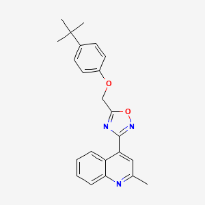 molecular formula C23H23N3O2 B11495156 4-{5-[(4-Tert-butylphenoxy)methyl]-1,2,4-oxadiazol-3-yl}-2-methylquinoline 