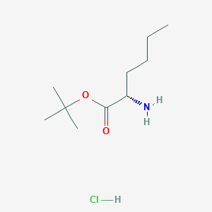 molecular formula C10H22ClNO2 B1149591 Norleucine tert-butyl ester hydrochloride CAS No. 119483-48-6