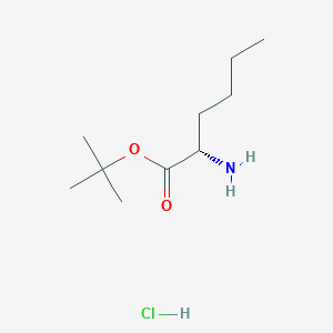 molecular formula C10H22ClNO2 B1149591 正丁氨酸叔丁酯盐酸盐 CAS No. 119483-48-6