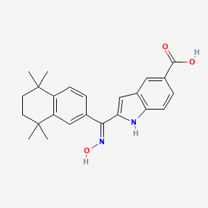 molecular formula C24H26N2O3 B1150037 2-[(E)-N-羟基-C-(5,5,8,8-四甲基-6,7-二氢萘-2-基)碳亚胺酰基]-1H-吲哚-5-羧酸 