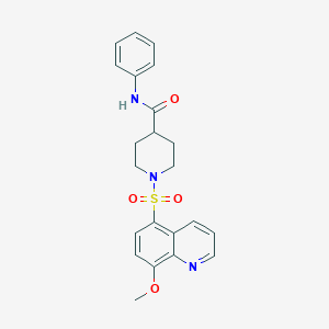 1-[(8-methoxyquinolin-5-yl)sulfonyl]-N-phenylpiperidine-4-carboxamide