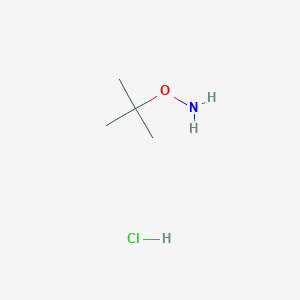 molecular formula C4H12ClNO B115127 O-tert-Butylhydroxylamine hydrochloride CAS No. 39684-28-1