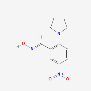 (E)-N-hydroxy-1-[5-nitro-2-(pyrrolidin-1-yl)phenyl]methanimine