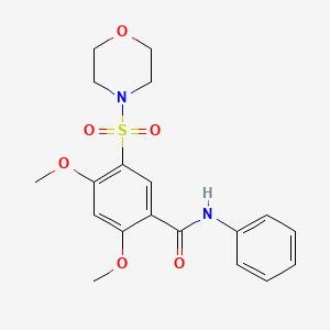 molecular formula C19H22N2O6S B11516342 2,4-dimethoxy-5-(morpholin-4-ylsulfonyl)-N-phenylbenzamide 