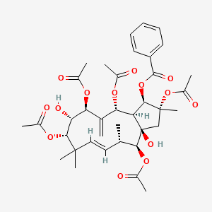 molecular formula C37H48O14 B1151642 Jatrophane VI CAS No. 210108-90-0