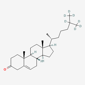 molecular formula C₂₇H₃₇D₇O B1151660 (8S,9S,10R,13R,14S,17R)-10,13-dimethyl-17-[(2R)-6,7,7,7-tetradeuterio-6-(trideuteriomethyl)heptan-2-yl]-1,2,4,7,8,9,11,12,14,15,16,17-dodecahydrocyclopenta[a]phenanthren-3-one 