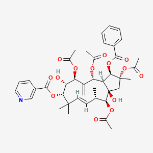 molecular formula C41H49NO14 B1151702 Jatrophane 5 CAS No. 210108-89-7