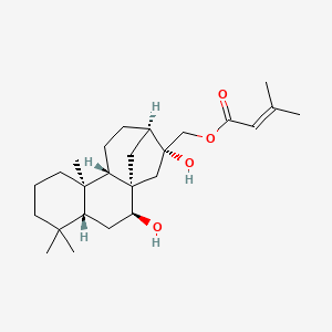 molecular formula C25H40O4 B1151706 Sculponeatin N CAS No. 1169805-98-4