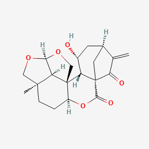 molecular formula C20H24O6 B1151712 Sculponeatin A CAS No. 85287-60-1