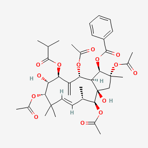 molecular formula C39H52O14 B1151736 Jatrophane 4 CAS No. 210108-88-6