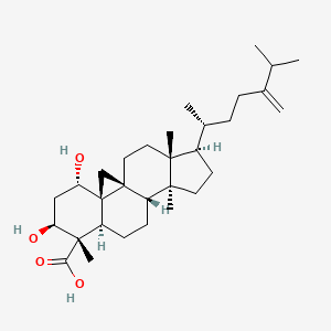 molecular formula C31H50O4 B1151749 23-Deoxojessic acid CAS No. 215609-93-1