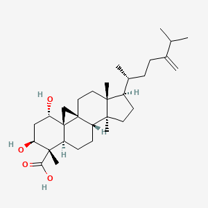 molecular formula C31H50O4 B1151749 23-Deoxojessicsäure CAS No. 215609-93-1