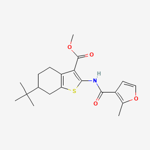 6-tert-Butyl-2-[(2-methylfuran-3-carbonyl)amino]-4,5,6,7-tetrahydrobenzo[b]thiophene-3-carboxylic acid, methyl ester