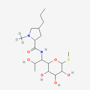 molecular formula C₁₈H₃₁D₃N₂O₆S B1151880 N-[2-hydroxy-1-(3,4,5-trihydroxy-6-methylsulfanyloxan-2-yl)propyl]-4-propyl-1-(trideuteriomethyl)pyrrolidine-2-carboxamide 