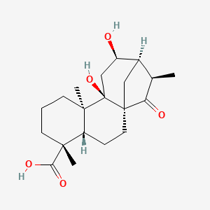 molecular formula C20H30O5 B1151888 Pterisolic acid E CAS No. 1401419-89-3