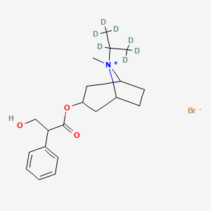 molecular formula C₂₀H₂₃D₇BrNO₃ B1151952 [8-(1,1,1,2,3,3,3-Heptadeuteriopropan-2-yl)-8-methyl-8-azoniabicyclo[3.2.1]octan-3-yl] 3-hydroxy-2-phenylpropanoate;bromide 