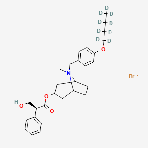 molecular formula C₂₈H₂₉D₉BrNO₄ B1152005 [8-methyl-8-[[4-(1,1,2,2,3,3,4,4,4-nonadeuteriobutoxy)phenyl]methyl]-8-azoniabicyclo[3.2.1]octan-3-yl] (2S)-3-hydroxy-2-phenylpropanoate;bromide 