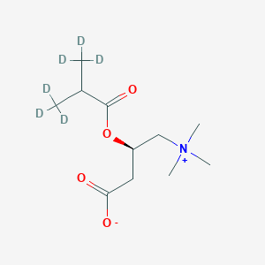 (3R)-3-[3,3,3-trideuterio-2-(trideuteriomethyl)propanoyl]oxy-4-(trimethylazaniumyl)butanoate