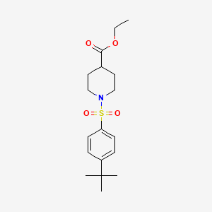 Ethyl 1-(4-tert-butylbenzenesulfonyl)piperidine-4-carboxylate