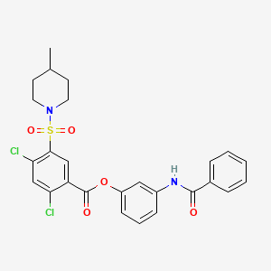 molecular formula C26H24Cl2N2O5S B11524678 3-[(Phenylcarbonyl)amino]phenyl 2,4-dichloro-5-[(4-methylpiperidin-1-yl)sulfonyl]benzoate 