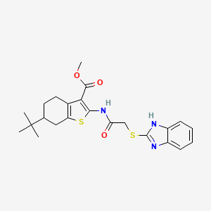 methyl 2-{[(1H-benzimidazol-2-ylsulfanyl)acetyl]amino}-6-tert-butyl-4,5,6,7-tetrahydro-1-benzothiophene-3-carboxylate