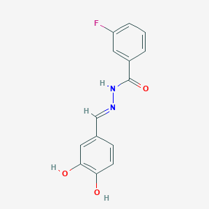 N'-[(E)-(3,4-dihydroxyphenyl)methylidene]-3-fluorobenzohydrazide