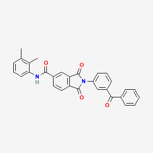 molecular formula C30H22N2O4 B11533061 N-(2,3-dimethylphenyl)-1,3-dioxo-2-[3-(phenylcarbonyl)phenyl]-2,3-dihydro-1H-isoindole-5-carboxamide 