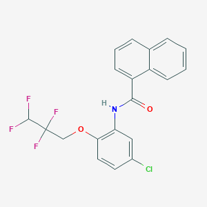 molecular formula C20H14ClF4NO2 B11533088 N-[5-chloro-2-(2,2,3,3-tetrafluoropropoxy)phenyl]naphthalene-1-carboxamide 