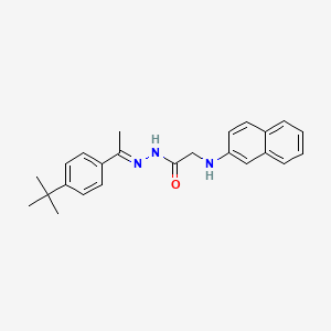 molecular formula C24H27N3O B11538005 N'-[(1E)-1-(4-tert-butylphenyl)ethylidene]-2-(naphthalen-2-ylamino)acetohydrazide (non-preferred name) 